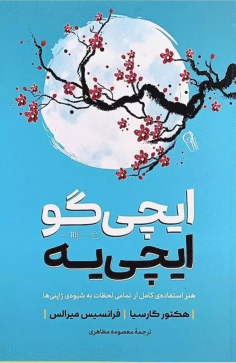 کتاب ایچی گو ایچی