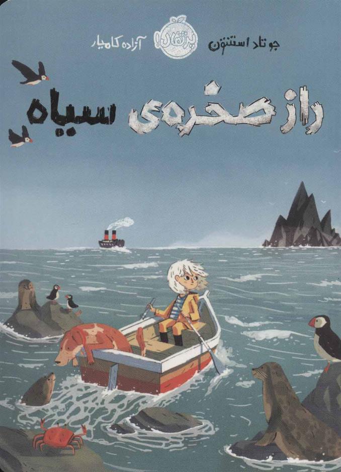 کتاب راز صخره ی سیاه
