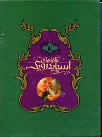 کتاب مجموعه ماجراهای اسپایدرویک