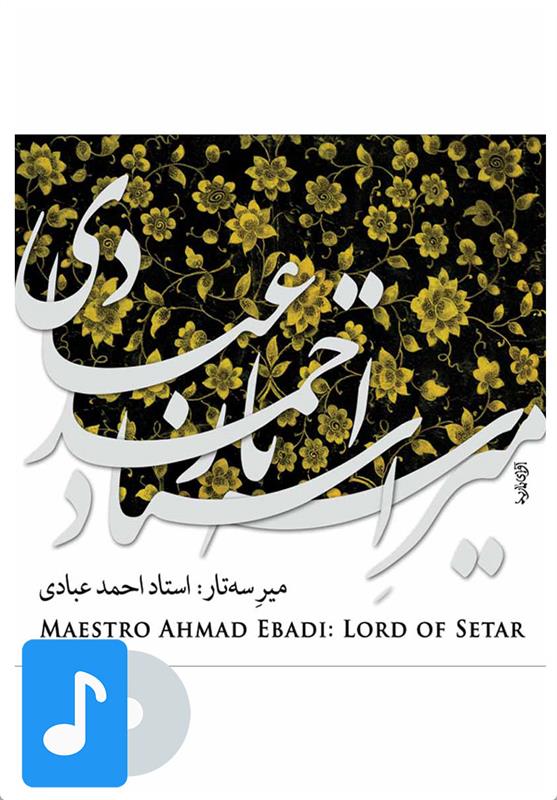 آلبوم موسیقی میر سه تار