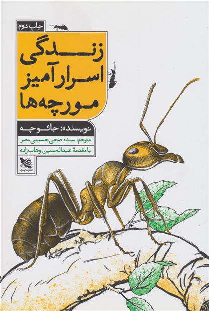 کتاب زندگی اسرار آمیز مورچه ها