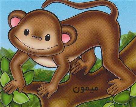 کتاب میمون