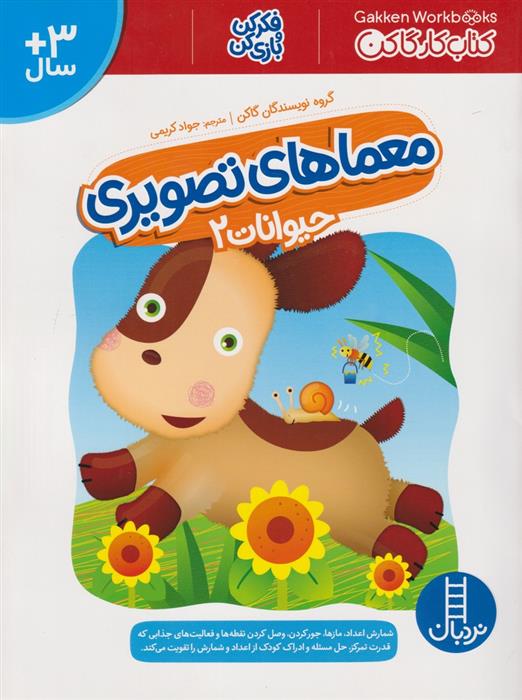 کتاب معماهای تصویری