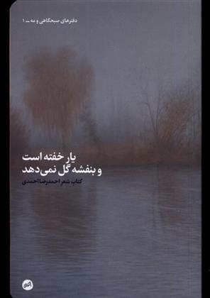 کتاب یار خفته است و بنفشه گل نمی دهد