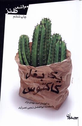 کتاب یک بغل کاکتوس