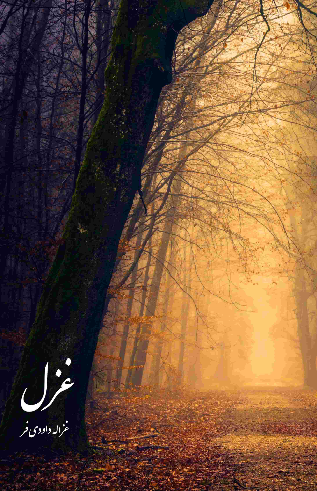 کتاب غزل