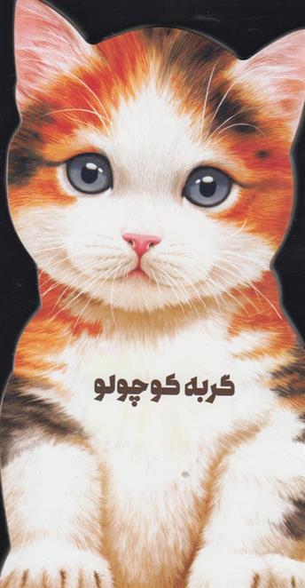 کتاب گربه کوچولو
