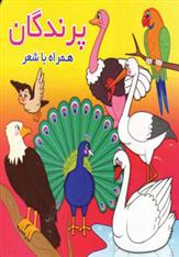 کتاب پرندگان