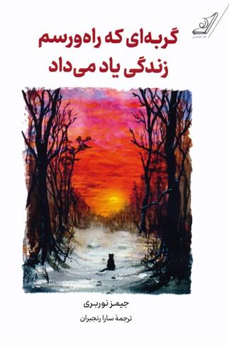 کتاب گربه ای که راه و رسم زندگی یاد می داد