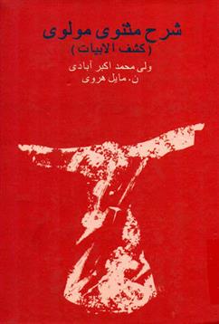 کتاب شرح مثنوی مولوی