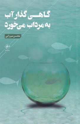 کتاب گاهی گذار آب به مرداب می خورد;