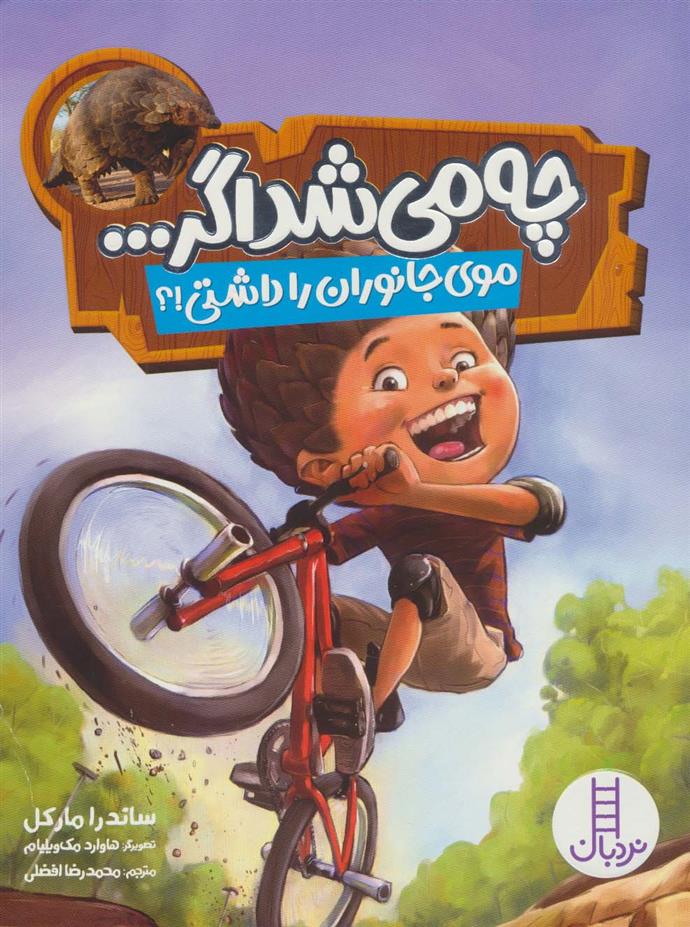کتاب چه می شد اگر…