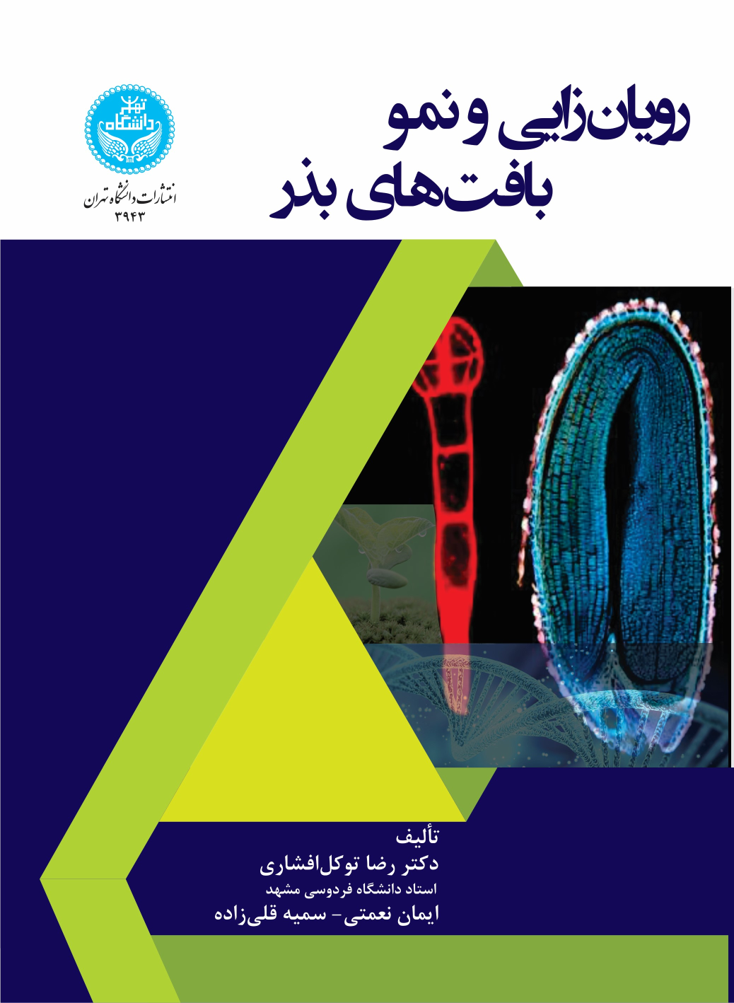 کتاب رویان‌زایی و نمو بافت‌های بذر