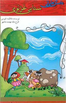 کتاب داستان هایی از سنایی غزنوی