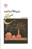 کتاب مارمولک ها اصلا غصه نمی خورند;