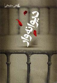 کتاب دیوانه وار