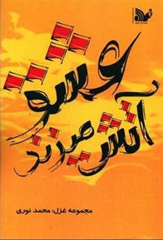 کتاب عشق آتش می زند!