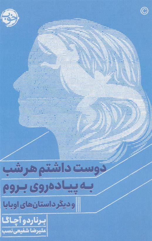 کتاب دوست داشتم هر شب به پیاده روی بروم