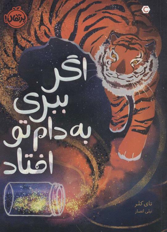 کتاب اگر ببری به دام تو افتاد;