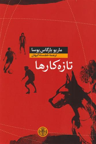 کتاب تازه کارها