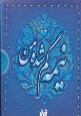 کتاب نیمه گم شده من;