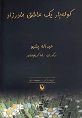 کتاب کوله بار یک عاشق مادرزاد