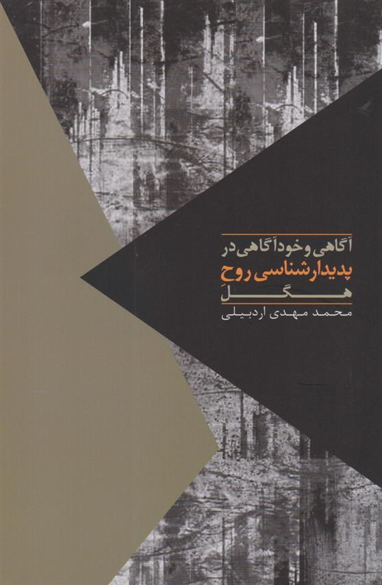 کتاب آگاهی و خودآگاهی در پدیدارشناسی روح هگل