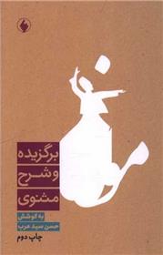 کتاب برگزیده و شرح مثنوی