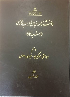کتاب دانشنامه زبان و ادب فارسی در شبه قاره (6)