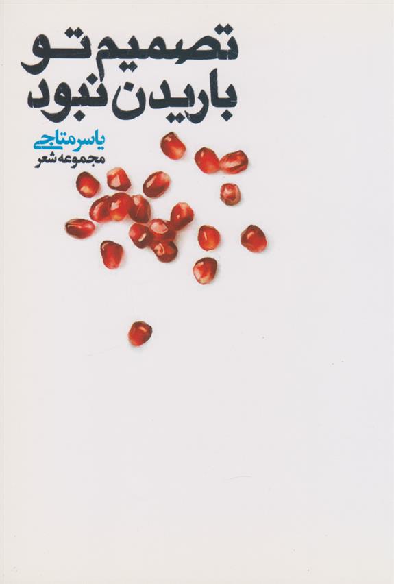 کتاب تصمیم تو باریدن نبود