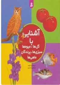 کتاب مجموعه آشنایی با گل ها،میوه ها،سبزی ها،پرندگان،ماهی ها;