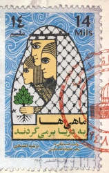 کتاب ماهی ها به دریا بر می گردند