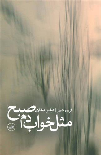 کتاب مثل خواب دم صبح