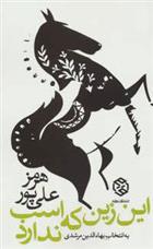 کتاب این زین که اسب ندارد