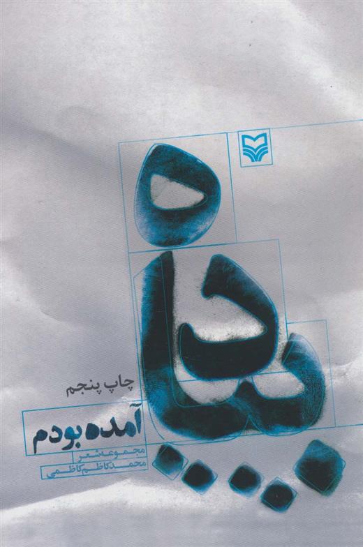 کتاب پیاده آمده بودم;