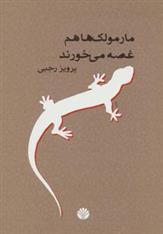 کتاب مارمولک ها هم غصه می خورند