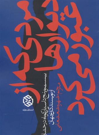 کتاب مردی که از دیوارها عبور می کرد