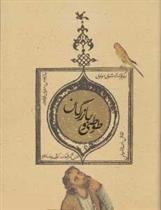 کتاب طوطی و بازرگان