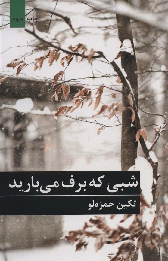 کتاب شبی که برف می بارید
