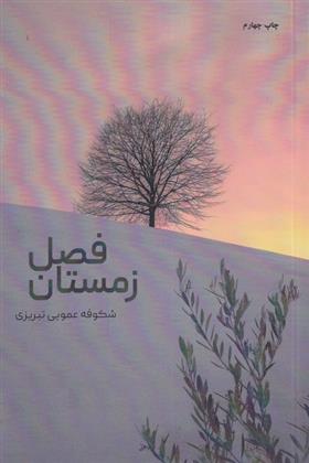 کتاب فصل زمستان