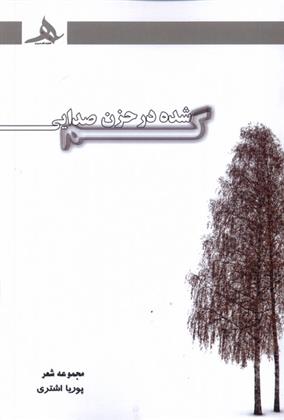 کتاب گم شده در حزن صدایی