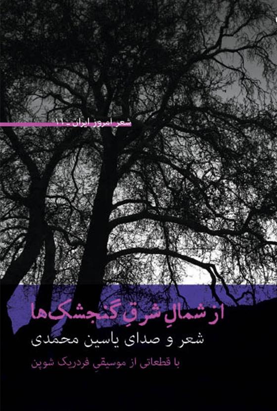 کتاب از شمال شرق گنجشک ها