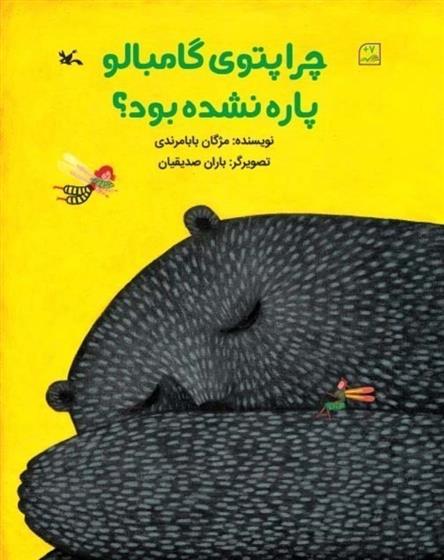 کتاب چرا پتوی گامبالو پاره نشده بود