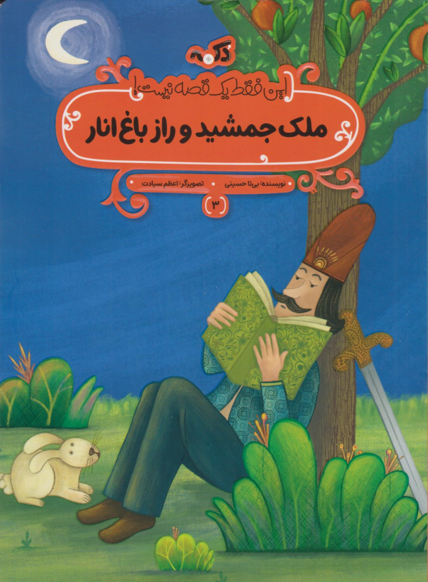 کتاب ملک جمشید و راز باغ انار