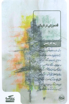 کتاب قدم زدن در تاریکی