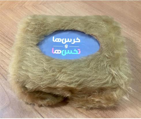 خرس ها و تخس ها