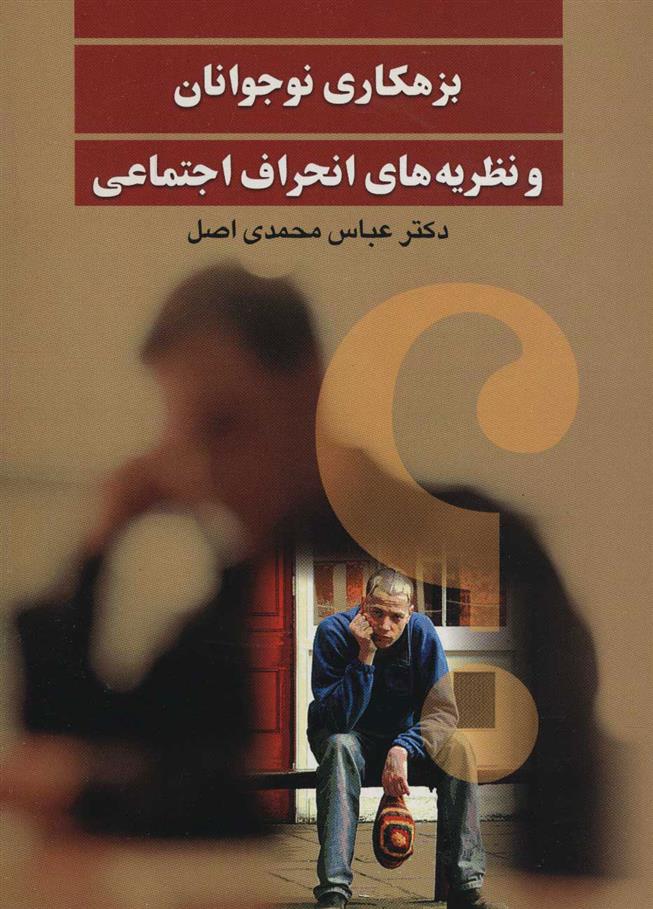 کتاب بزهکاری نوجوانان