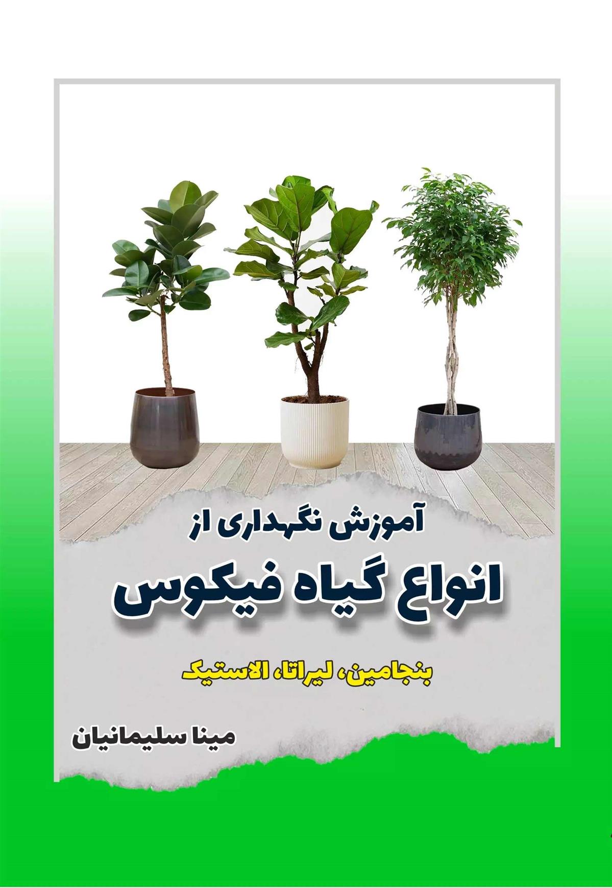کتاب آموزش نگهداری از انواع گیاه فیکوس