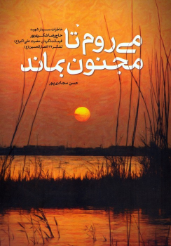 کتاب می روم تا مجنون بماند