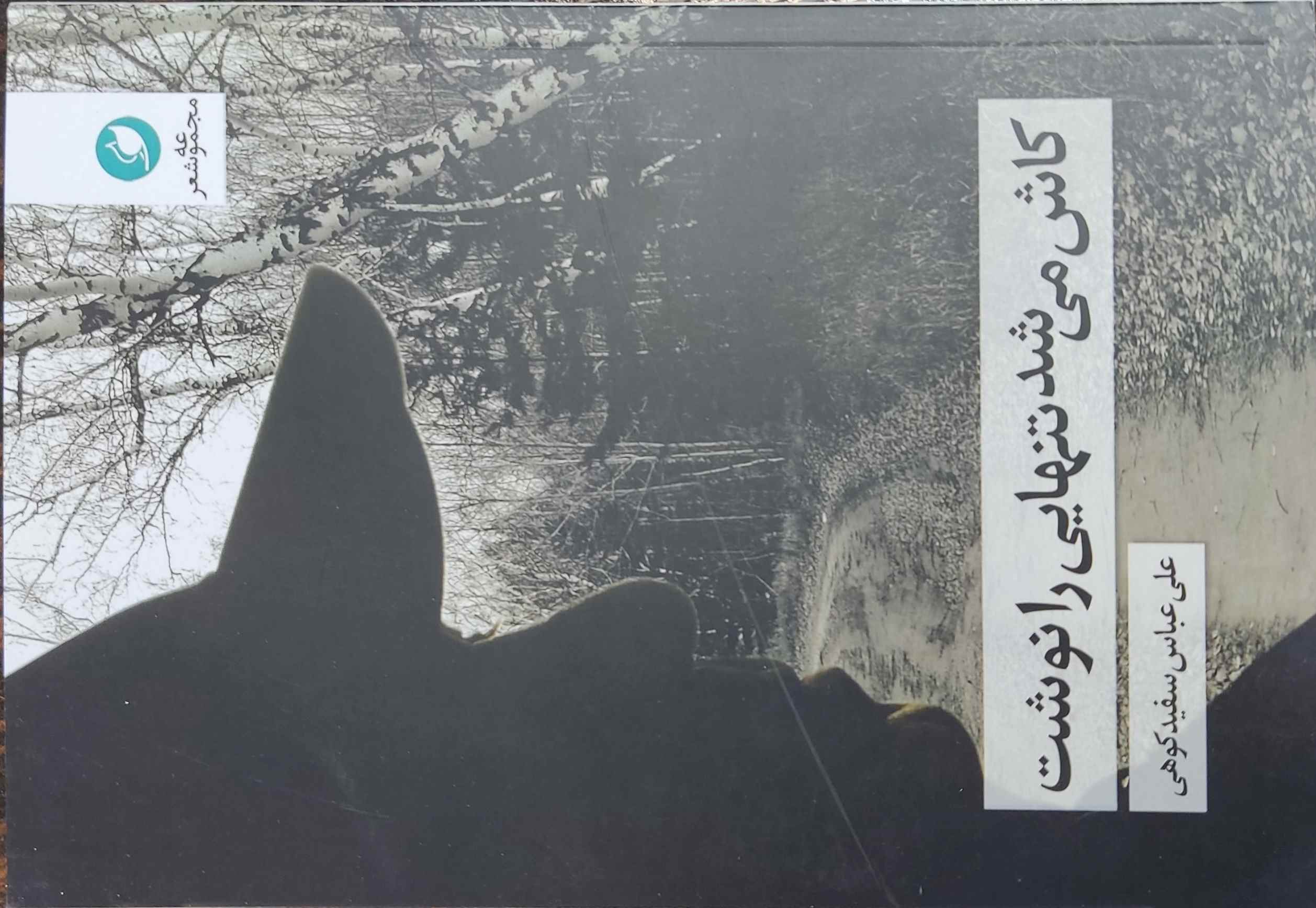  کتاب کاش می‌شد تنهایی را نوشت